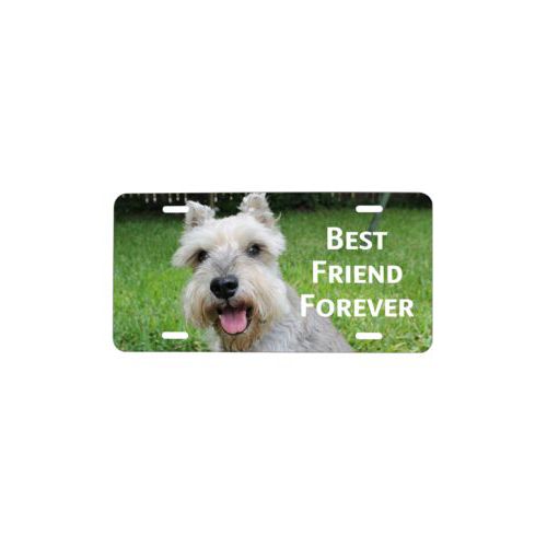 Custom plate personalized with photo and the saying "Best Friend Forever"