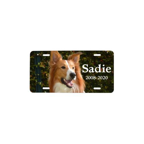 Custom license plate personalized with photo and the saying "Sadie 2008-2020"