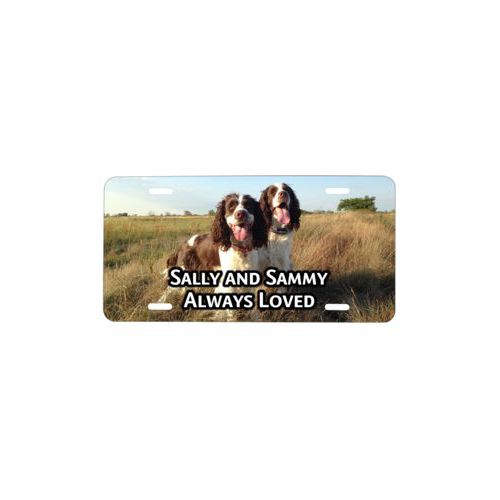 Custom license plate personalized with photo and the saying "Sally and Sammy Always Loved"