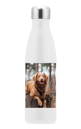 Personalized stainless steel water bottle personalized with a photo Personalized stainless steel water bottle personalized with a photo