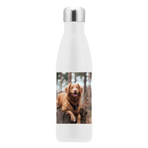 Personalized stainless steel water bottle personalized with a photo