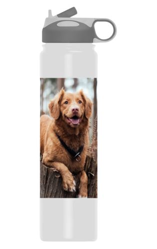 Insulated water bottle personalized with a photo Insulated water bottle personalized with a photo