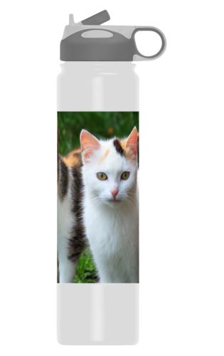 Personalized water bottles personalized with a photo Personalized water bottles personalized with a photo
