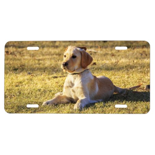 Custom license plates personalized with dog photo