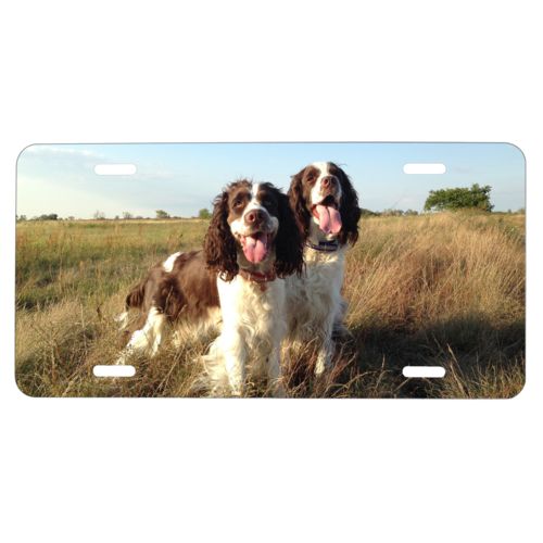 Custom license plates personalized with photo of dogs