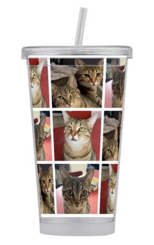 Tumbler 16oz
