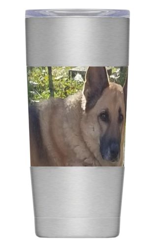 Insulated Steel Mug 20oz