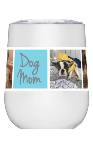 Insulated Steel Wine 9oz