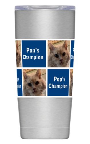 Insulated Steel Mug 20oz
