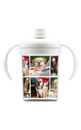 Sippy Cup 10oz