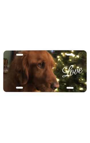 License Plate