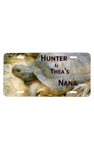 License Plate