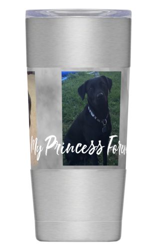 Insulated Steel Mug 20oz