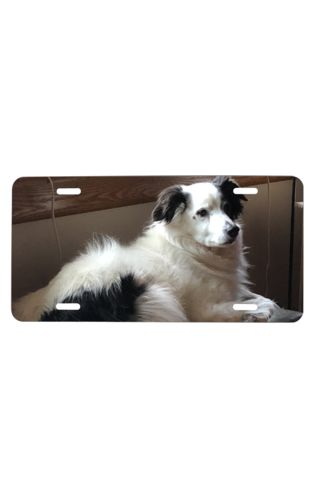 License Plate