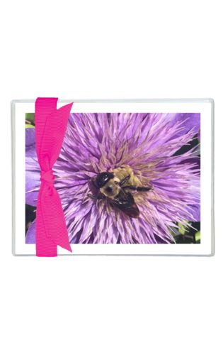 Note Cards (Box of 10)