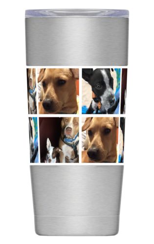 Insulated Steel Mug 20oz