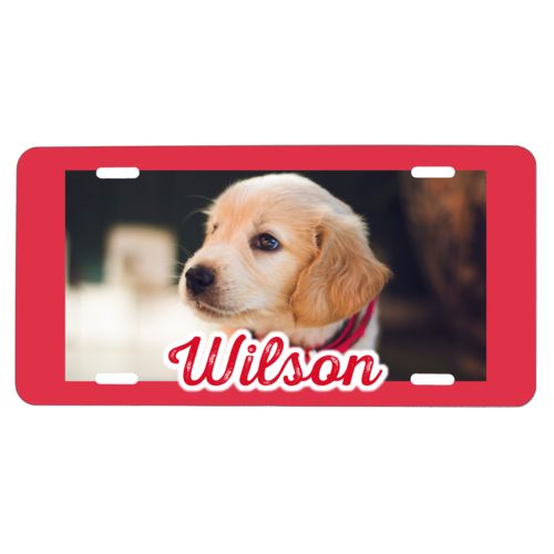 Custom license plates personalized with dog memorial