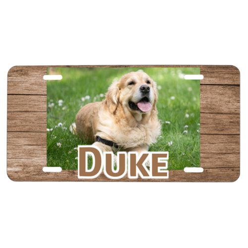 Dogs Cats Fun in the Sun Selfie Novelty Metal Vanity Tag License Plate