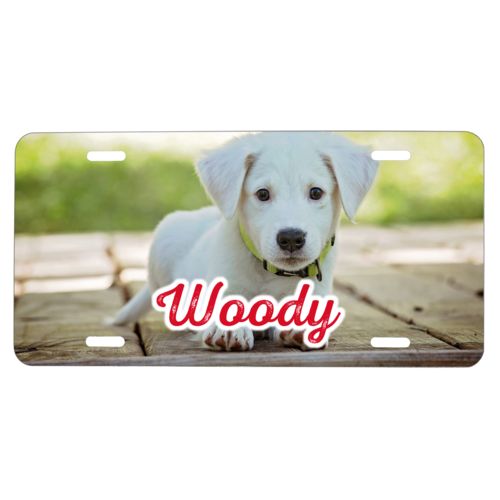 Custom license plate personalized with photo and the saying "Woody"