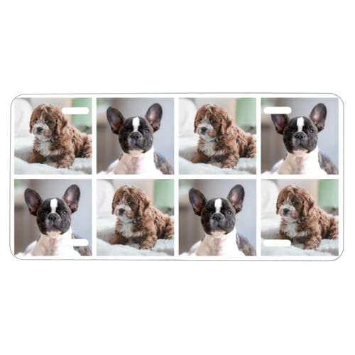 Custom license plates personalized with dog photos