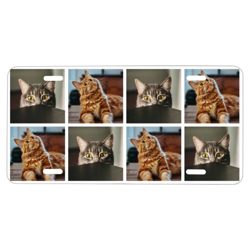 Custom license plates personalized with cat photos