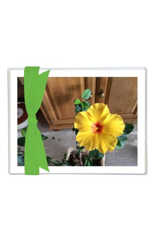 Note Cards (Box of 10)
