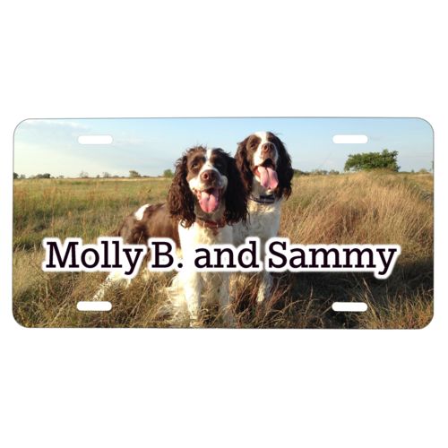 Custom license plate personalized with photo and the saying "Molly B. and Sammy"