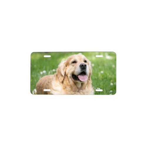 Custom front license plate personalized with photo