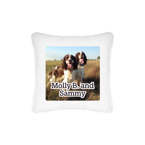 Personalized pillow personalized with photo and the saying "Molly B. and Sammy"