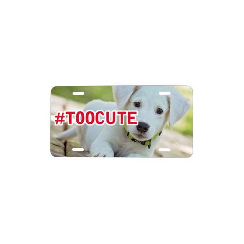 Custom license plate personalized with photo and the saying "#TOOCUTE"