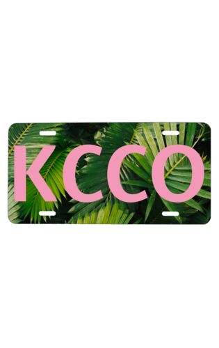 License Plate