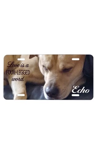 License Plate