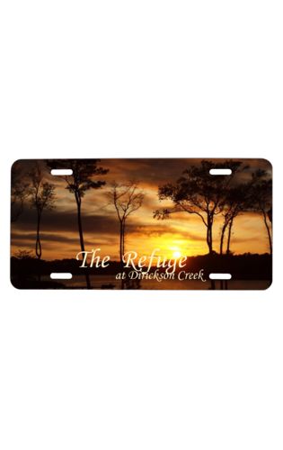 License Plate