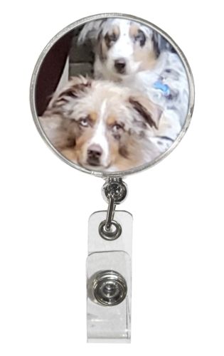 Badge Reel