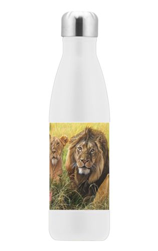 Insulated Steel Bottle 17oz