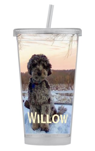 Tumbler 16oz
